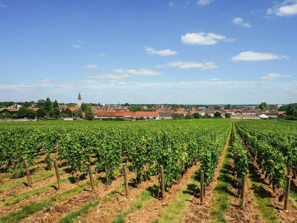 Ibis Budget Nuits Saint Georges 設備 写真